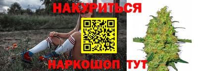 сатива Краснознаменск