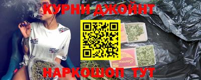 сатива Краснознаменск
